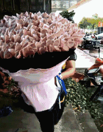 zr455.gif