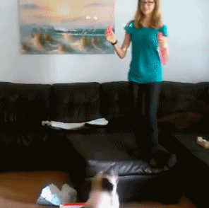 zr454.gif