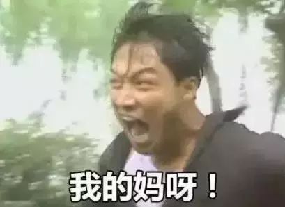 7f55a02a90084b08a46c99979ee473aa.jpeg