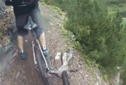 zr441.gif