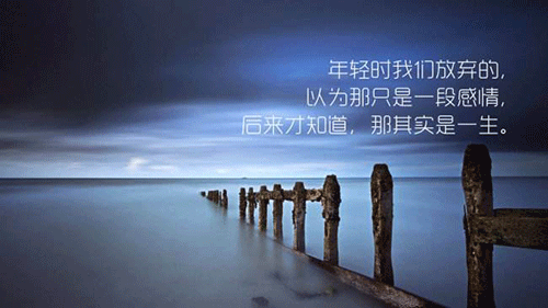1663553419107540.gif 20190608012721663.gif