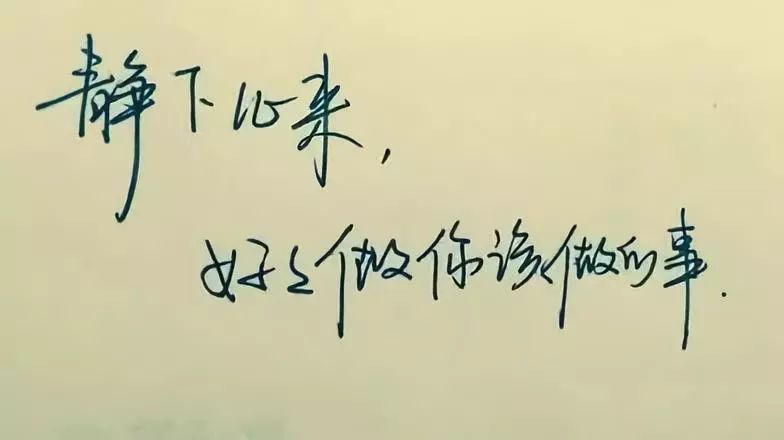 1665658308267609.jpeg 64d4dfcb70834ebe875d4360247c0c4d.jpeg
