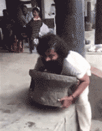 zr404.gif