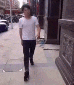 zr398.gif
