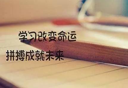 90d2c2455bb548468b811e9542b4020a_th.jpg