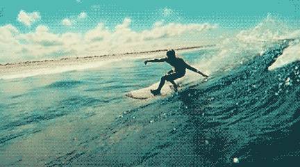 11002dbf46c54a2888b57dbb30f0ee82_th.jpg