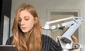 zr389.gif