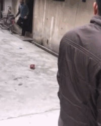 zr384.gif
