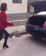 zr372.gif