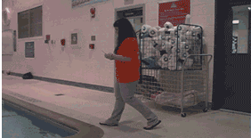 zr371.gif