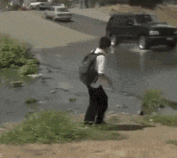 zr412.gif