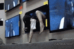 zr347.gif