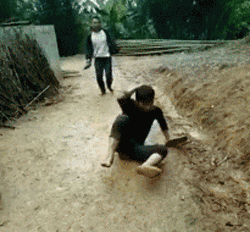 zr316.gif