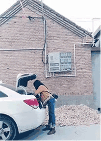 zr311.gif