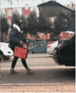 zr310.gif