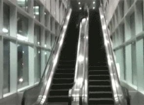 1669125709196247.gif zr220.gif