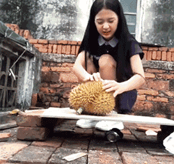 zr214.gif