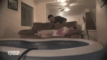 zr215.gif