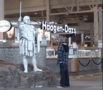 zr206.gif