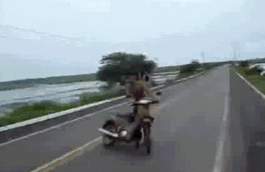zr204.gif