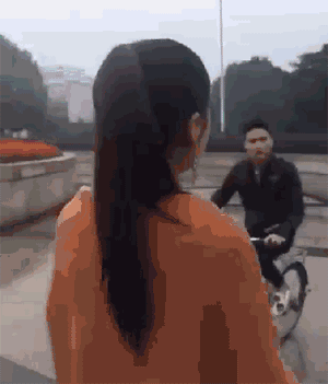 zr203.gif