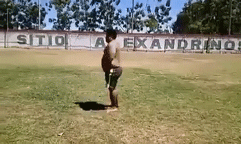 zr201.gif