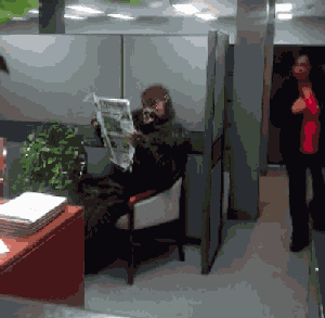 zr123.gif