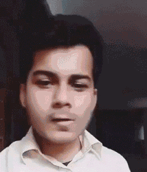 zr120.gif