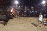 zr116.gif