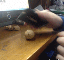zr47.gif