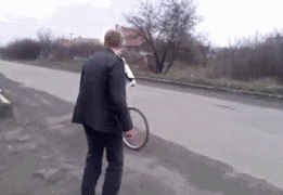 zr33.gif