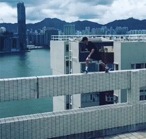 zr32.gif