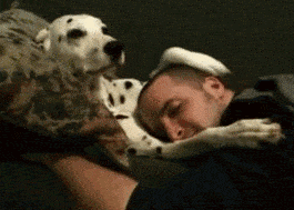 zr10.gif