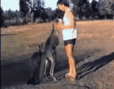 1682739370145082.gif 201404181149030388.gif