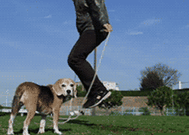 201403282119532587.gif