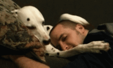 1685161575598203.gif 201401121016437528.gif