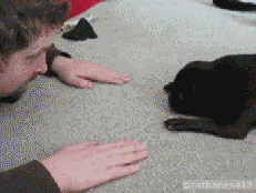 201308171848270302.gif