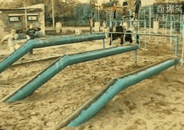 201307181319145503.gif