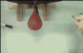 201304031122588273.gif