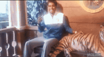 201303091230304903.gif