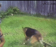 201301141502132577.gif