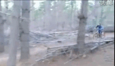 201301071221214565.gif