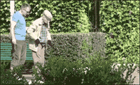 578dcc0cd8f16.gif