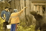581c48e759445.gif