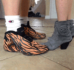58880b701d38e.gif