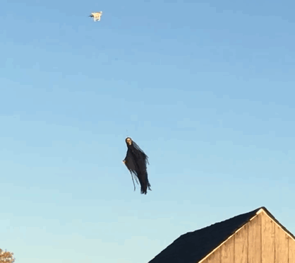 5831afe91ff3a.gif