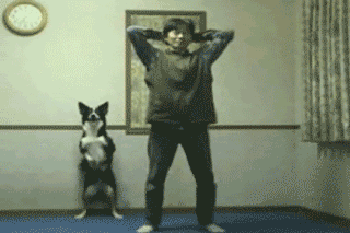 58063330e4e8b.gif