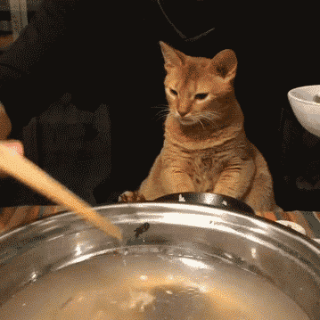 57ac4b999c6d3.gif