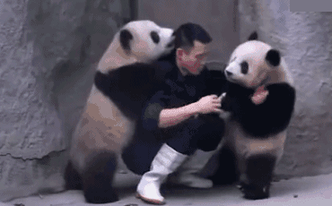 58ad98023bde9.gif