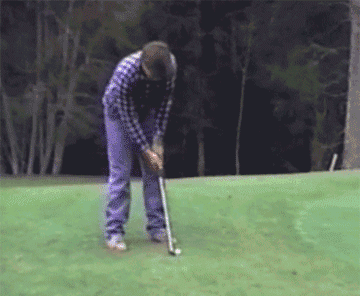 58985c4c782d0.gif